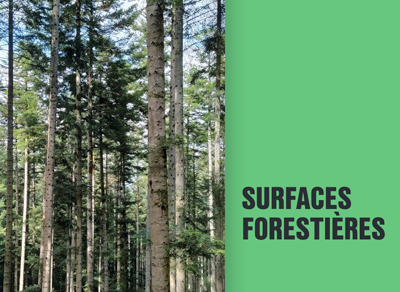 Inventaire forestier national de l'IGN - Mauvais état des forêts